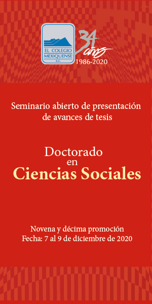 Presentación de avances de tesis. Doctorado en Ciencias Sociales 2020