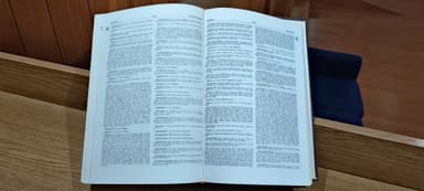Alt Text
